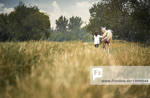 Rückansicht Frau und Pferd beim Spaziergang auf einem Grasfeld auf dem Land
