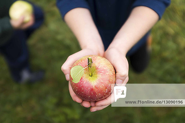 Low section of boy holding apple while standing on grassy field in backyard
