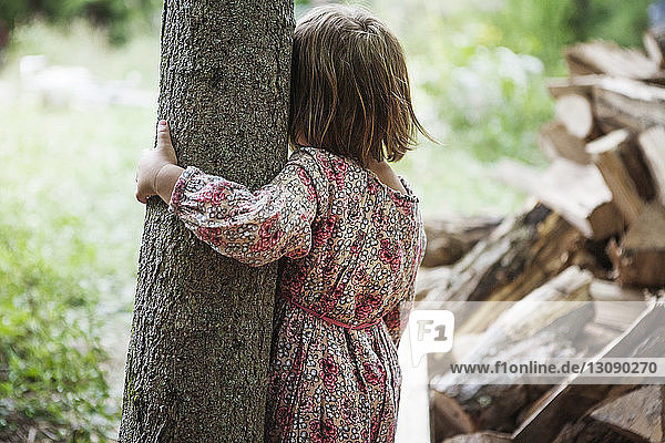 Rear view of girl holding tree trunk in forest