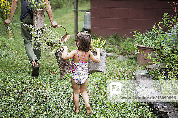 Rear view of girl with father holding wooden basket in backyard