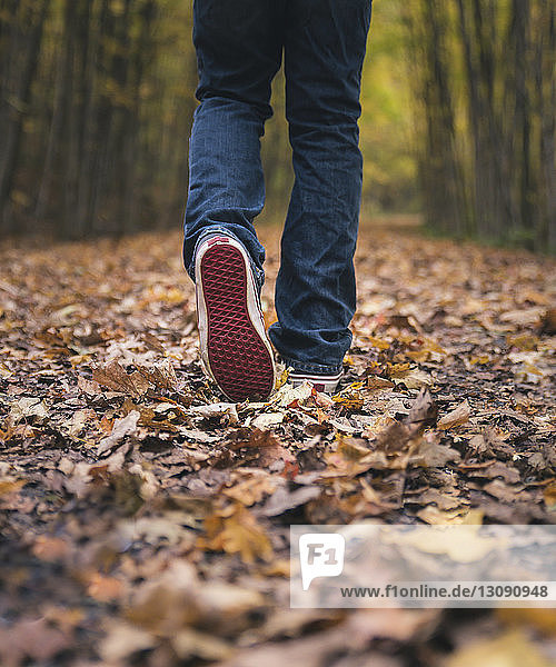 Niedriger Abschnitt eines Jungen  der im Herbst im Park auf herabgefallenen trockenen Blättern läuft