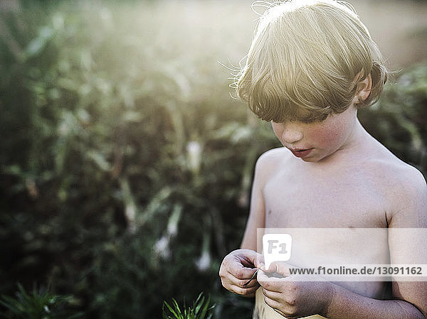 Shirtless boy playing with leaf while standing in yard on sunny day