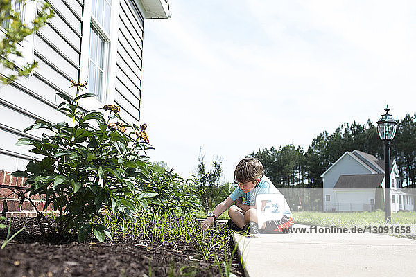 Boy examining plants in backyard against clear sky during sunny day