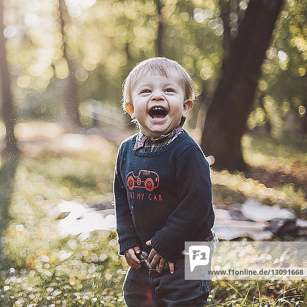Fröhlicher kleiner Junge steht im Herbst im Park