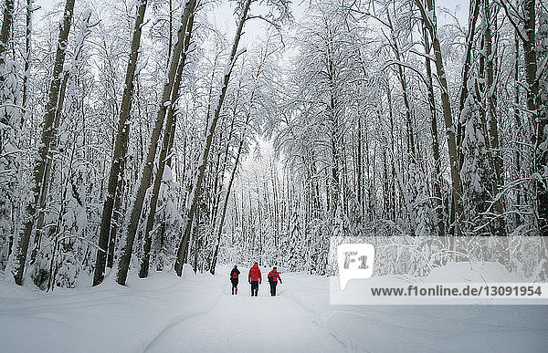 Rear view of hikers walking on snow covered street in forest