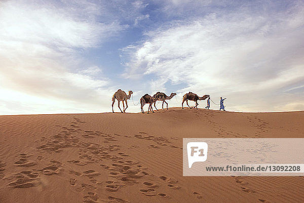 Menschen  die mit Kamelen auf Sand in der Wüste gegen den Himmel laufen