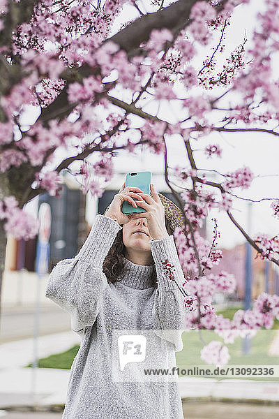 Junge Frau fotografiert Kirschblüten mit Smartphone im Park