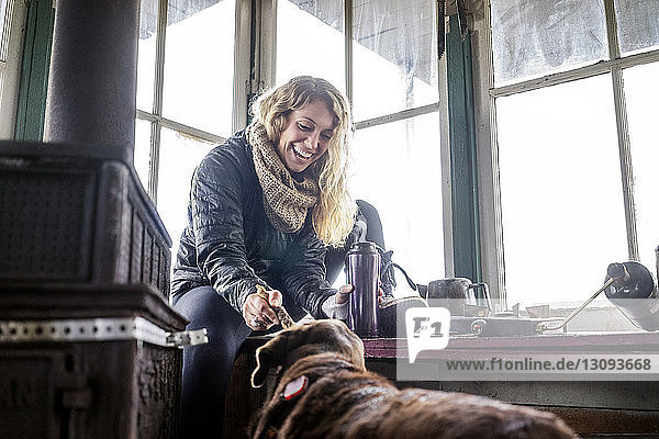 Niedrigwinkelansicht einer glücklichen Frau  die mit einem Hund in einer Hütte spielt