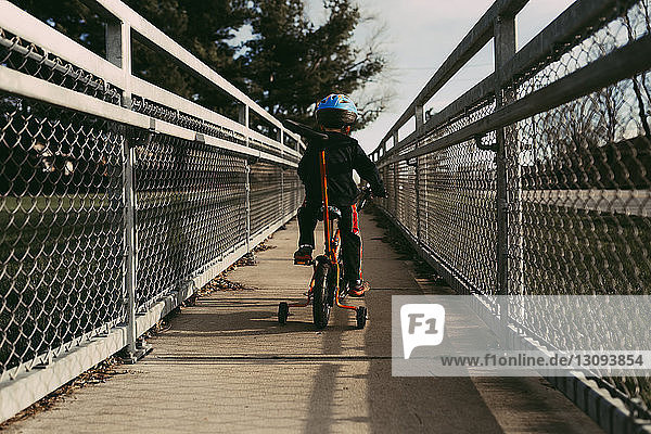 Rückansicht eines Jungen auf dem Fahrrad auf einem Fußweg zwischen Zäunen