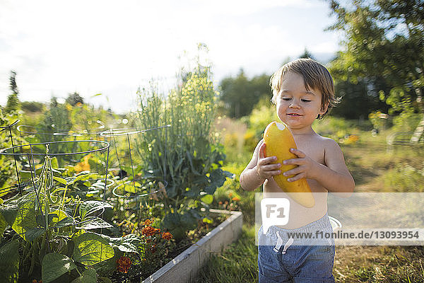 Junge ohne Hemd hält frische Zucchini  während er im Gemeinschaftsgarten gegen den Himmel steht
