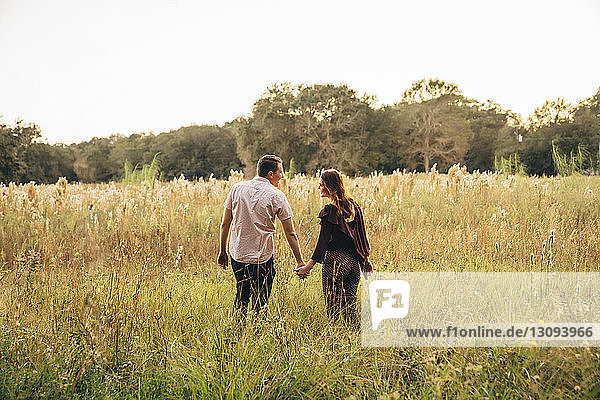Rear view of couple holding hands while walking on grassy field at park during sunset