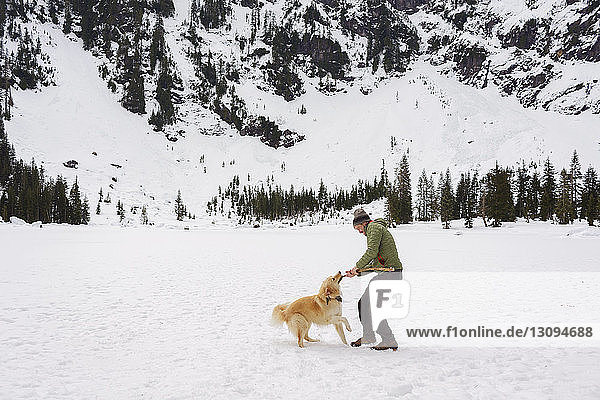 Glücklicher Mann spielt mit Golden Retriever auf schneebedecktem Feld
