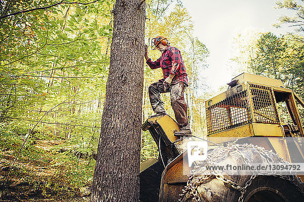 Seitenansicht eines auf einem Baufahrzeug stehenden Holzfällers im Wald