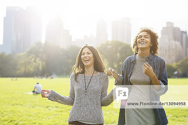 Freunde lachen  während sie auf dem Spielfeld im Park stehen