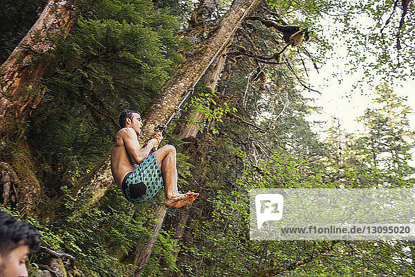 Low angle view of man swinging on rope in forest
