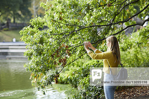 Seitenansicht einer Frau  die im Park stehend den See mit einem Smartphone fotografiert