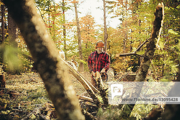 Male lumberjack cutting log with chainsaw in forest