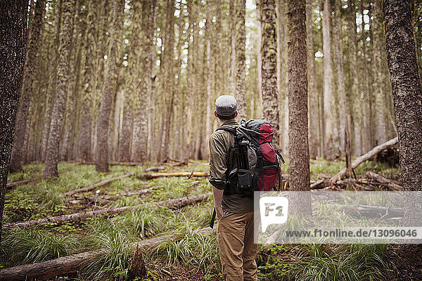 Mann trägt Rucksack  während er im Wald steht