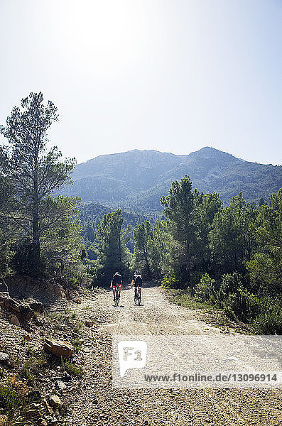 Friends cycling on road amidst trees against mountain