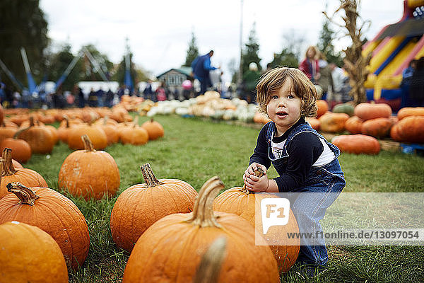 Baby boy holding pumpkin while standing at farm