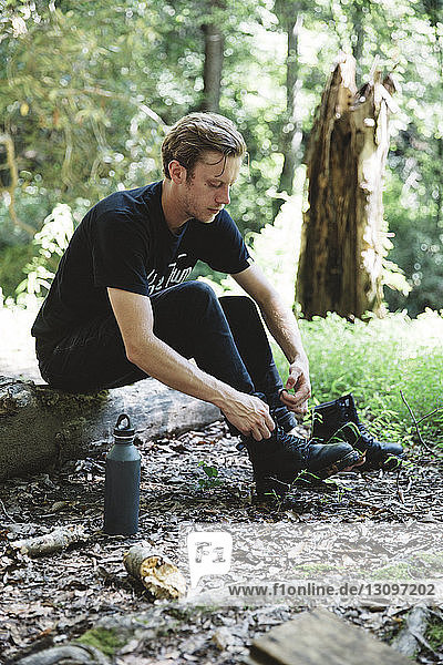 Hiker tying shoelace while sitting on wood in forest