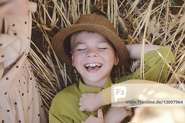 Overhead view of playful boy playing with brother lying by mother on field