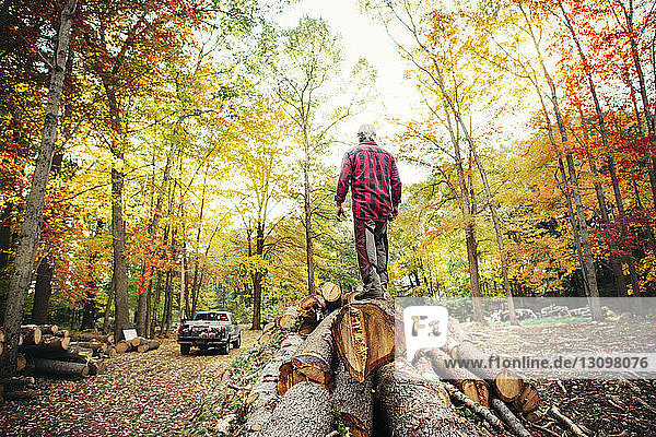 Rear view of lumberjack walking on logs in forest