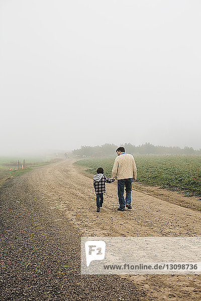 Rückansicht von Vater und Sohn  wie sie bei Nebel auf einem Feldweg gegen den Himmel laufen