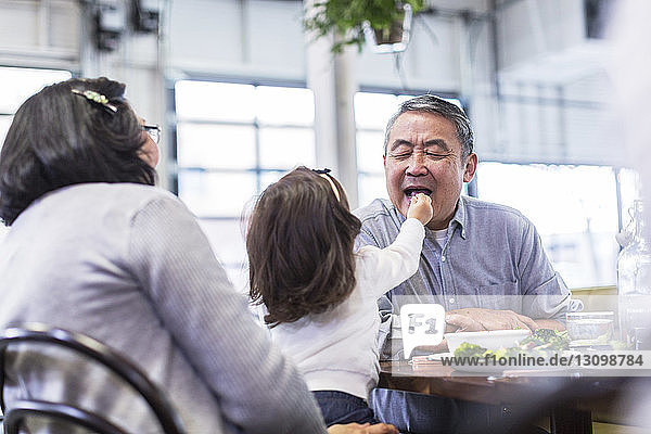 Mädchen füttert Großvater  während sie mit Großmutter am Tisch im Restaurant sitzt