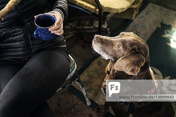 Hochwinkelaufnahme eines Hundes  der von einer Frau beim Kaffeetrinken in einer Hütte sitzt