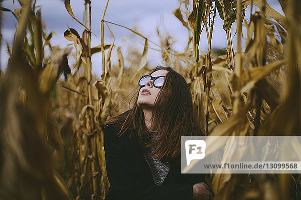 Frau mit Sonnenbrille sitzt inmitten von Feldfrüchten auf dem Bauernhof gegen den Himmel