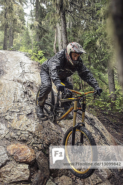 Mann mit Mountainbike auf umgestürztem Baumstamm im Wald