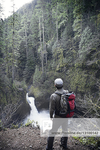 Blick des Menschen auf den Wasserfall im Wald