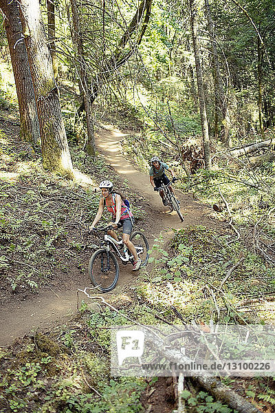 Hikers riding bicycle on dirt road in forest