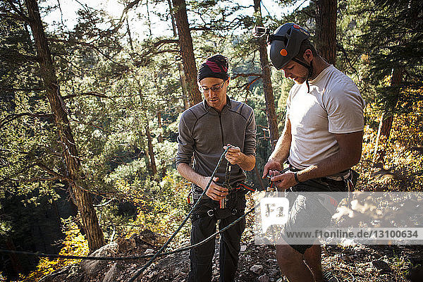 Friends preparing for rock climbing while standing against trees in forest