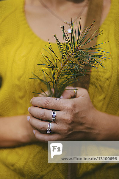 Midsection of woman holding pine needles