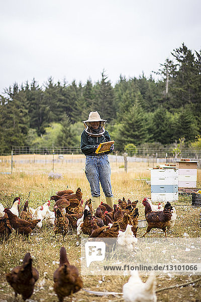 Bienenzüchterin in einem landwirtschaftlichen Betrieb mit Hühnern im Vordergrund