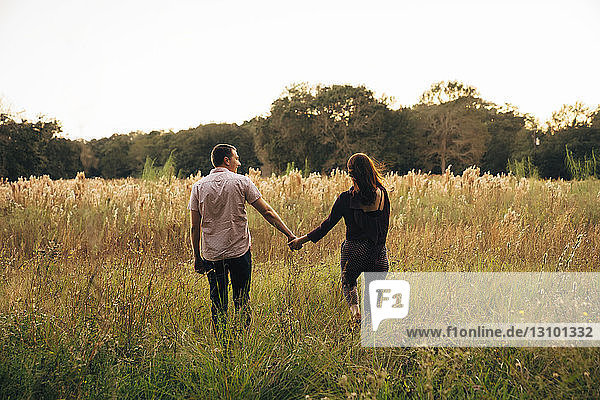 Rear view of couple holding hands while walking on grassy field against clear sky at park