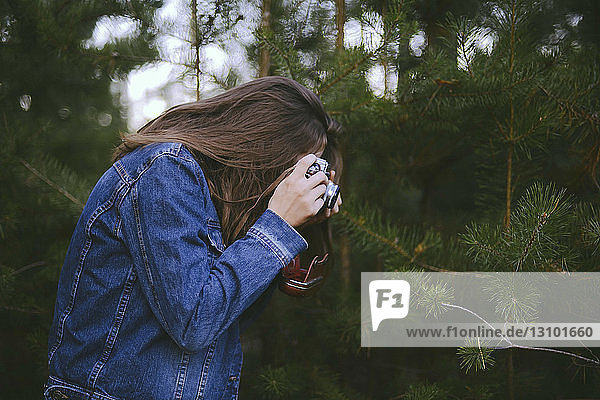 Side view of woman photographing pine trees in forest