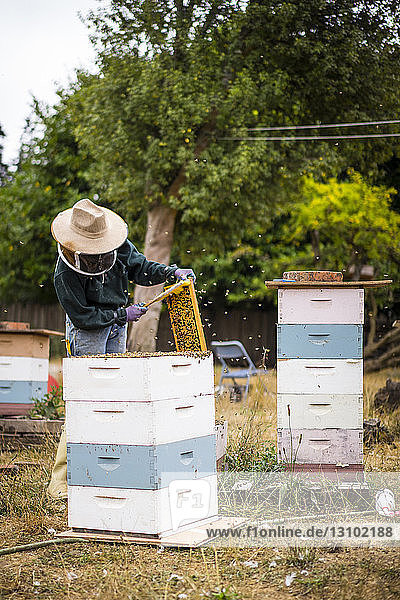 Bienenzüchterin in einem landwirtschaftlichen Betrieb