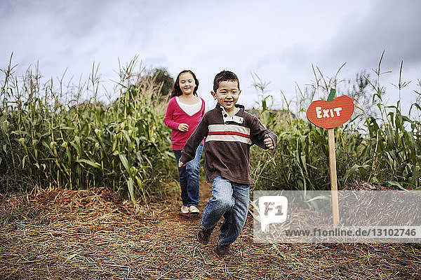 Siblings running on corn field