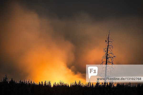 Majestätischer Blick auf den Dampf  der von einer beleuchteten heißen Quelle im Yellowstone-Nationalpark ausströmt