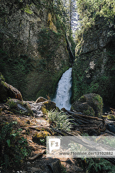 Szenische Ansicht des Wasserfalls im Wald