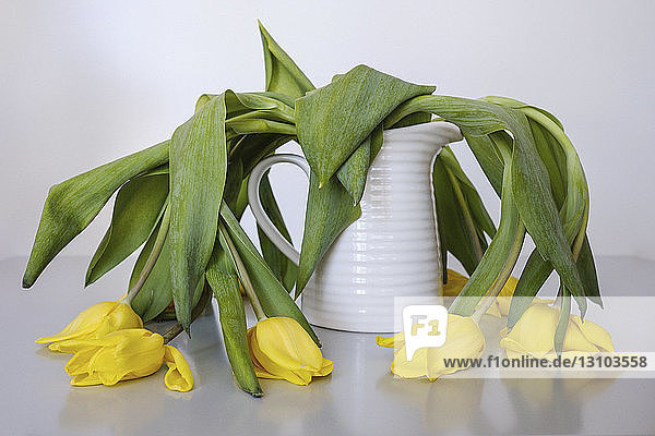 Verwelkte gelbe Tulpen in Vase