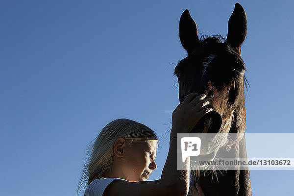 Mädchen streichelt die Schnauze eines Pferdes unter blauem Himmel