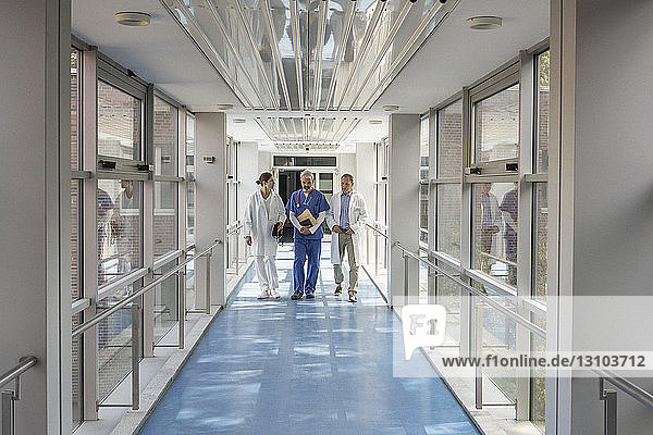 Doctors talking and walking in hospital corridor