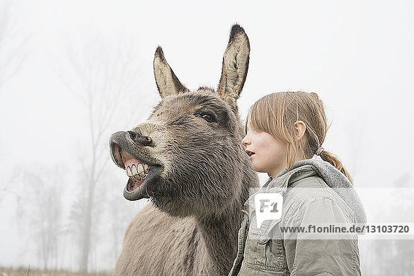 Girl standing next to donkey