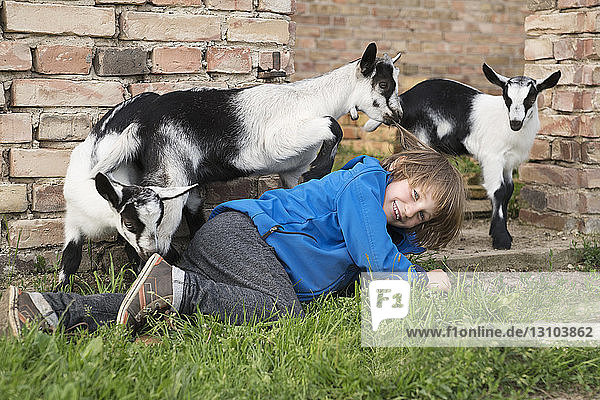 Girl playing with goats