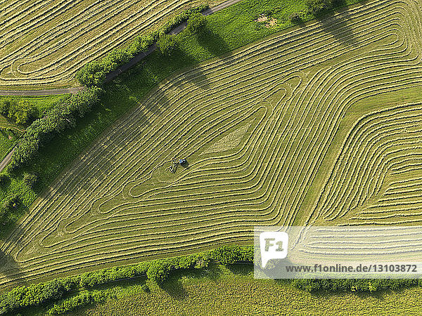 Aerial view tractor in patterned green agricultural crop  Hohenheim  Baden-Wuerttemberg  Germany