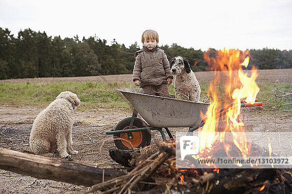 Girl in wheelbarrow with dog near bonfire